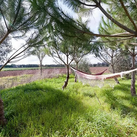Rurale * Cutrofiano
